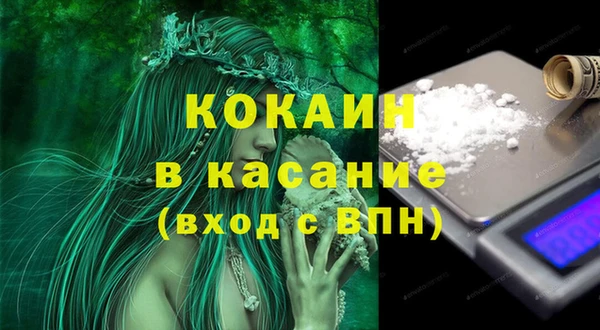 шишки Белоозёрский