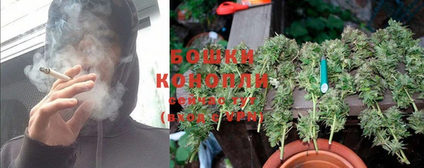 спайс Белокуриха